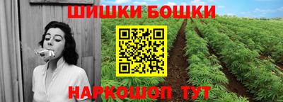 МДПВ Дубна