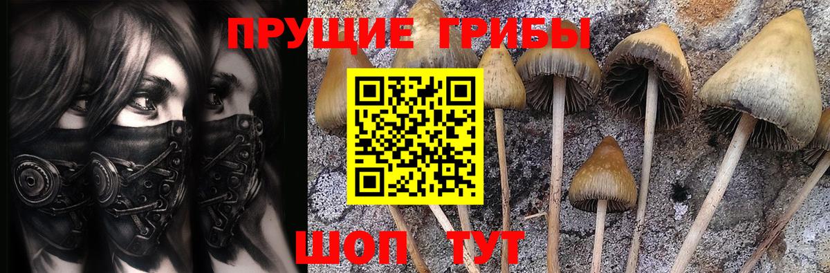 Псилоцибиновые грибы Magic Shrooms  Вход с VPN  Псилоцибиновые грибы ЛСД  даркнет сайт  Смоленск 